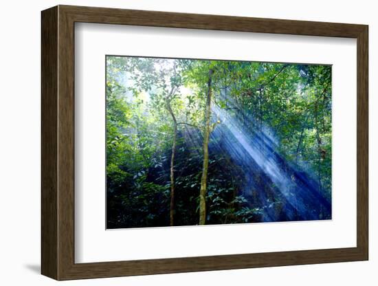 Asia, Indonesia, Sulawesi. Sunburst Lights Up a Steamy Rainforest-David Slater-Framed Photographic Print