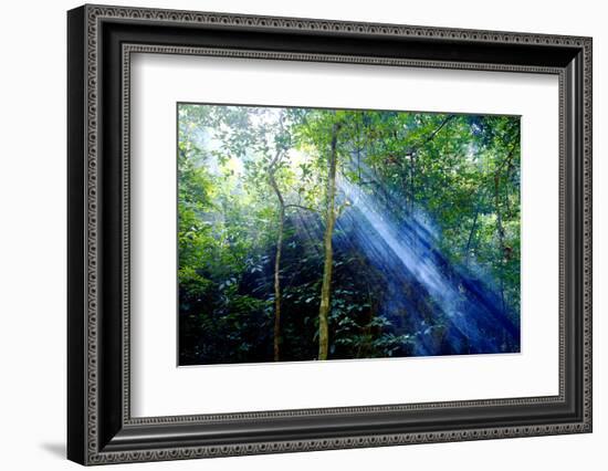 Asia, Indonesia, Sulawesi. Sunburst Lights Up a Steamy Rainforest-David Slater-Framed Photographic Print