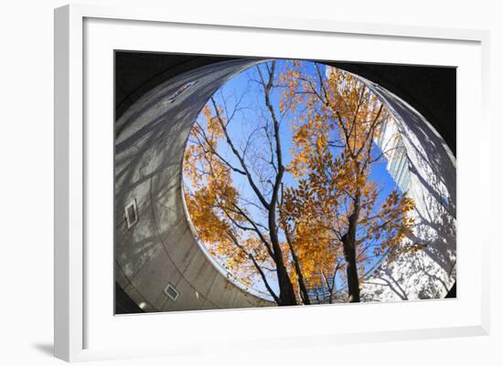 Asia, Japan, Honshu, Yokohama, Autumn Trees-Christian Kober-Framed Photographic Print