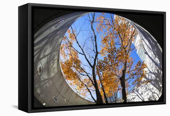 Asia, Japan, Honshu, Yokohama, Autumn Trees-Christian Kober-Framed Premier Image Canvas