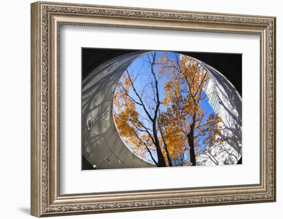 Asia, Japan, Honshu, Yokohama, Autumn Trees-Christian Kober-Framed Photographic Print