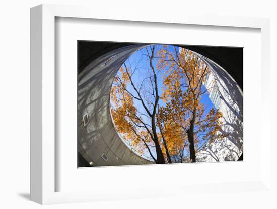 Asia, Japan, Honshu, Yokohama, Autumn Trees-Christian Kober-Framed Photographic Print