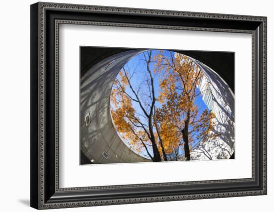 Asia, Japan, Honshu, Yokohama, Autumn Trees-Christian Kober-Framed Photographic Print