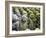 Asia, Japan; Kyoto, Sagano, Arashiyama, Otagi Nenbutsu Dera Temple, Stone Images-Christian Kober-Framed Photographic Print