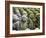 Asia, Japan; Kyoto, Sagano, Arashiyama, Otagi Nenbutsu Dera Temple, Stone Images-Christian Kober-Framed Photographic Print