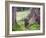 Asia, Japan; Kyoto, Sanzen in Temple (986), Stone Statue of a Monk Praying-Christian Kober-Framed Photographic Print