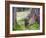 Asia, Japan; Kyoto, Sanzen in Temple (986), Stone Statue of a Monk Praying-Christian Kober-Framed Photographic Print