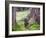 Asia, Japan; Kyoto, Sanzen in Temple (986), Stone Statue of a Monk Praying-Christian Kober-Framed Photographic Print