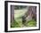 Asia, Japan; Kyoto, Sanzen in Temple (986), Stone Statue of a Monk Praying-Christian Kober-Framed Photographic Print