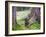 Asia, Japan; Kyoto, Sanzen in Temple (986), Stone Statue of a Monk Praying-Christian Kober-Framed Photographic Print