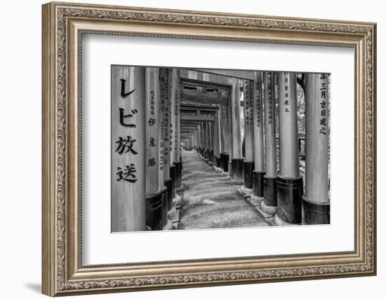 Asia, Japan, Kyoto. Torii Gates at Fushimi Inari-Taisha Shrine-Dennis Flaherty-Framed Photographic Print