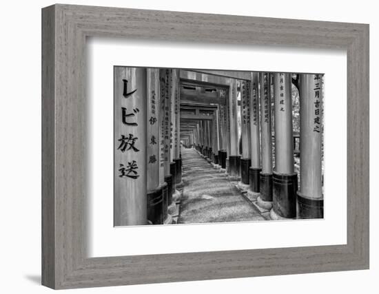 Asia, Japan, Kyoto. Torii Gates at Fushimi Inari-Taisha Shrine-Dennis Flaherty-Framed Photographic Print