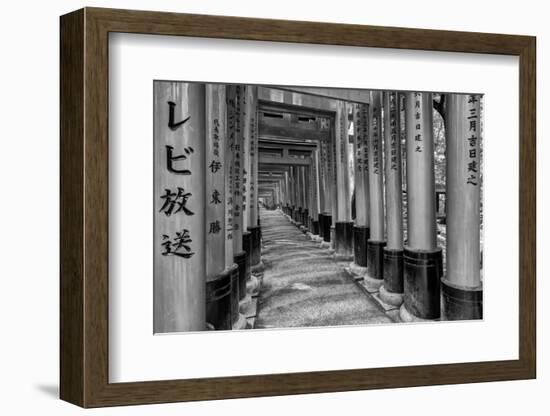 Asia, Japan, Kyoto. Torii Gates at Fushimi Inari-Taisha Shrine-Dennis Flaherty-Framed Photographic Print