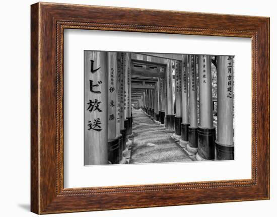 Asia, Japan, Kyoto. Torii Gates at Fushimi Inari-Taisha Shrine-Dennis Flaherty-Framed Photographic Print