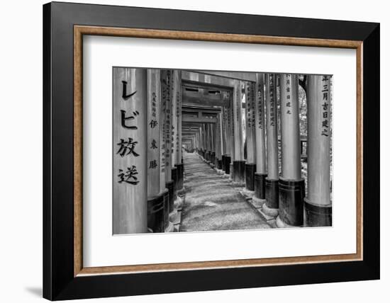 Asia, Japan, Kyoto. Torii Gates at Fushimi Inari-Taisha Shrine-Dennis Flaherty-Framed Photographic Print