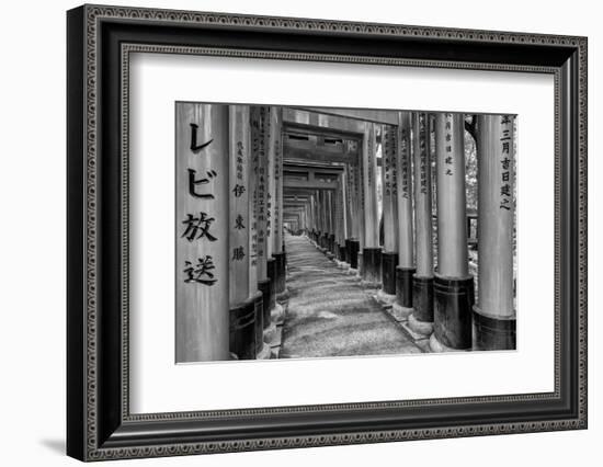 Asia, Japan, Kyoto. Torii Gates at Fushimi Inari-Taisha Shrine-Dennis Flaherty-Framed Photographic Print