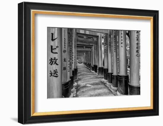 Asia, Japan, Kyoto. Torii Gates at Fushimi Inari-Taisha Shrine-Dennis Flaherty-Framed Photographic Print