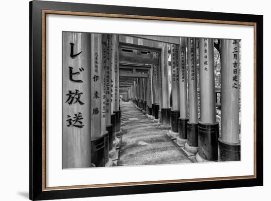 Asia, Japan, Kyoto. Torii Gates at Fushimi Inari-Taisha Shrine-Dennis Flaherty-Framed Photographic Print