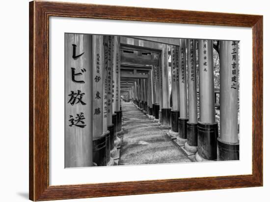 Asia, Japan, Kyoto. Torii Gates at Fushimi Inari-Taisha Shrine-Dennis Flaherty-Framed Photographic Print