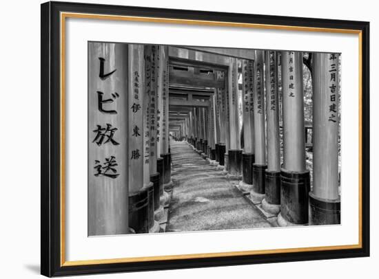 Asia, Japan, Kyoto. Torii Gates at Fushimi Inari-Taisha Shrine-Dennis Flaherty-Framed Photographic Print