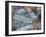 Asia, Japan, Tokyo, Shibuya, Shibuya Crossing - Crowds of People Crossing the Famous Intersection a-Gavin Hellier-Framed Photographic Print