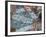 Asia, Japan, Tokyo, Shibuya, Shibuya Crossing - Crowds of People Crossing the Famous Intersection a-Gavin Hellier-Framed Photographic Print