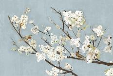 Outlined Floral II-Asia Jensen-Art Print