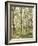 Asia, Malaysia, Gumtree Plantation, Rubber Extraction-Thonig-Framed Photographic Print