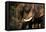 Asia, Nepal, Chitwan. Asian Elephants of Chitwan National Park-Kymri Wilt-Framed Premier Image Canvas