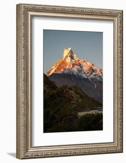 Asia, Nepal. Machapuchare Mountain from top of Mardi Himal Trek.-Janell Davidson-Framed Photographic Print