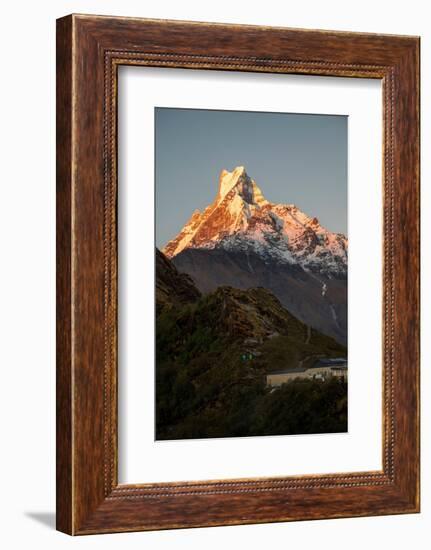 Asia, Nepal. Machapuchare Mountain from top of Mardi Himal Trek.-Janell Davidson-Framed Photographic Print