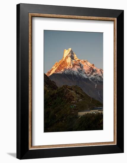 Asia, Nepal. Machapuchare Mountain from top of Mardi Himal Trek.-Janell Davidson-Framed Photographic Print