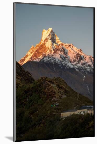 Asia, Nepal. Machapuchare Mountain from top of Mardi Himal Trek.-Janell Davidson-Mounted Photographic Print