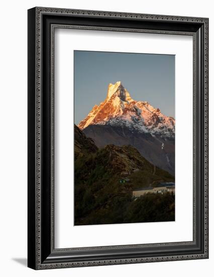 Asia, Nepal. Machapuchare Mountain from top of Mardi Himal Trek.-Janell Davidson-Framed Photographic Print