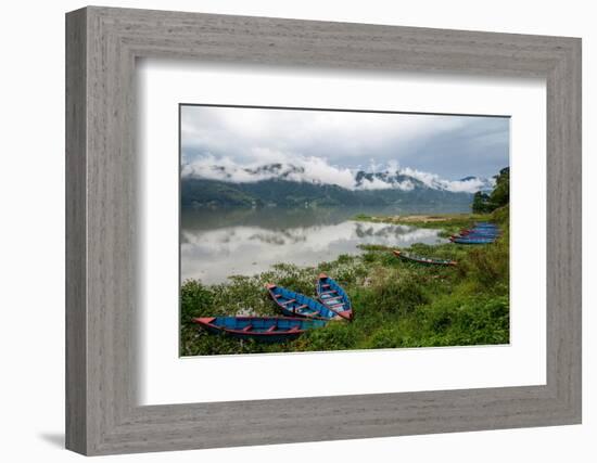 Asia, Nepal, Pokhara. Boats in the water lilies on Phewa Lake.-Janell Davidson-Framed Photographic Print