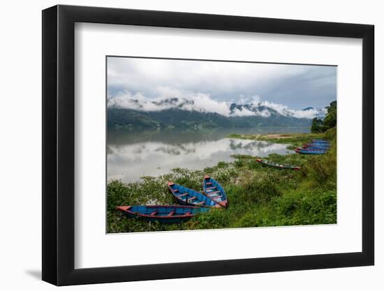 Asia, Nepal, Pokhara. Boats in the water lilies on Phewa Lake.-Janell Davidson-Framed Photographic Print