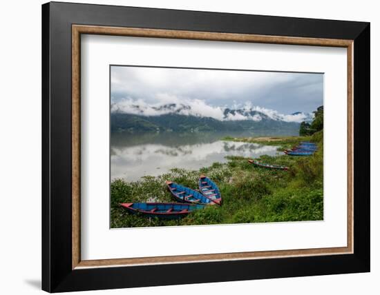 Asia, Nepal, Pokhara. Boats in the water lilies on Phewa Lake.-Janell Davidson-Framed Photographic Print