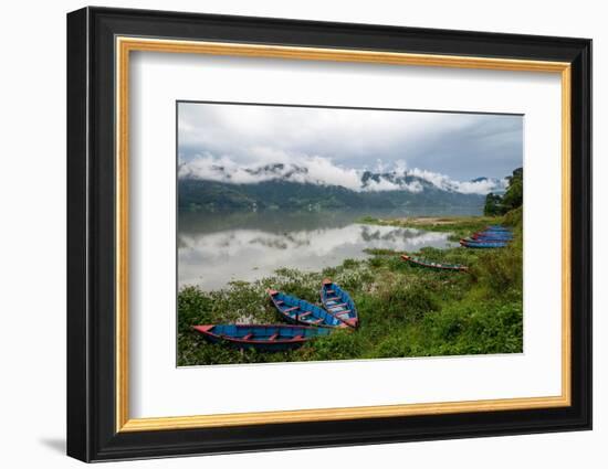 Asia, Nepal, Pokhara. Boats in the water lilies on Phewa Lake.-Janell Davidson-Framed Photographic Print