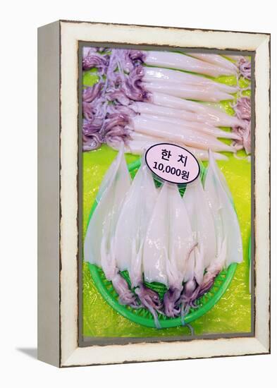 Asia, Republic of Korea, South Korea, Jeju Island, Dongmun Traditional Market, Squid-Christian Kober-Framed Premier Image Canvas