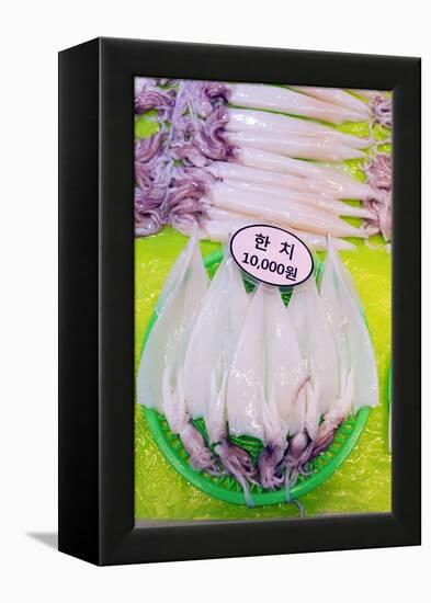 Asia, Republic of Korea, South Korea, Jeju Island, Dongmun Traditional Market, Squid-Christian Kober-Framed Premier Image Canvas