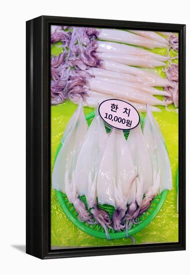 Asia, Republic of Korea, South Korea, Jeju Island, Dongmun Traditional Market, Squid-Christian Kober-Framed Premier Image Canvas