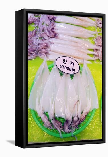 Asia, Republic of Korea, South Korea, Jeju Island, Dongmun Traditional Market, Squid-Christian Kober-Framed Premier Image Canvas