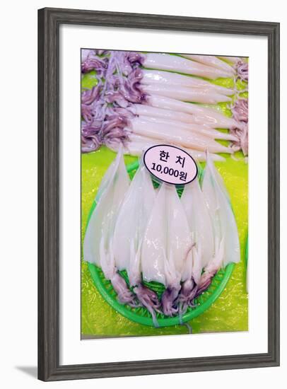 Asia, Republic of Korea, South Korea, Jeju Island, Dongmun Traditional Market, Squid-Christian Kober-Framed Photographic Print