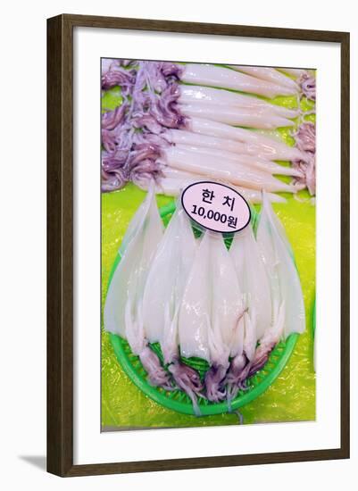 Asia, Republic of Korea, South Korea, Jeju Island, Dongmun Traditional Market, Squid-Christian Kober-Framed Photographic Print