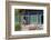 Asia, Republic of Korea, South Korea, Seoul, Buddhist Temple-Christian Kober-Framed Photographic Print