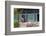 Asia, Republic of Korea, South Korea, Seoul, Buddhist Temple-Christian Kober-Framed Photographic Print