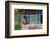 Asia, Republic of Korea, South Korea, Seoul, Buddhist Temple-Christian Kober-Framed Photographic Print