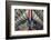 Asia, Republic of Korea, South Korea, Seoul, Deoksugung Palace-Christian Kober-Framed Photographic Print