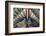 Asia, Republic of Korea, South Korea, Seoul, Deoksugung Palace-Christian Kober-Framed Photographic Print