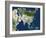 Asia, Satellite Image-PLANETOBSERVER-Framed Photographic Print